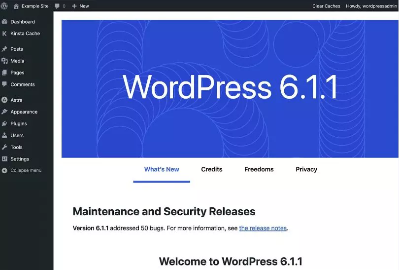 Understanding WordPress Versions