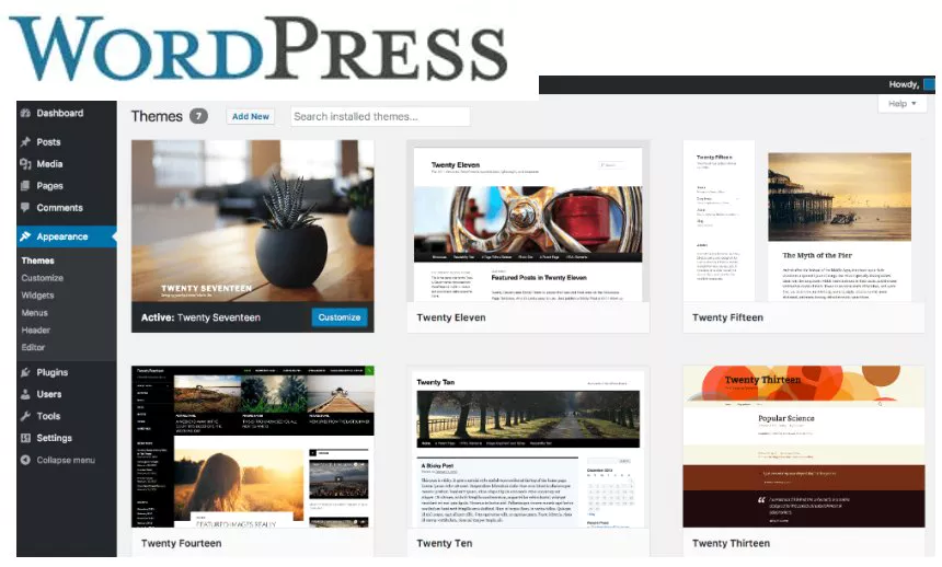 What are WordPress Themes?