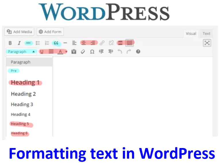 Formatting Text in WordPress