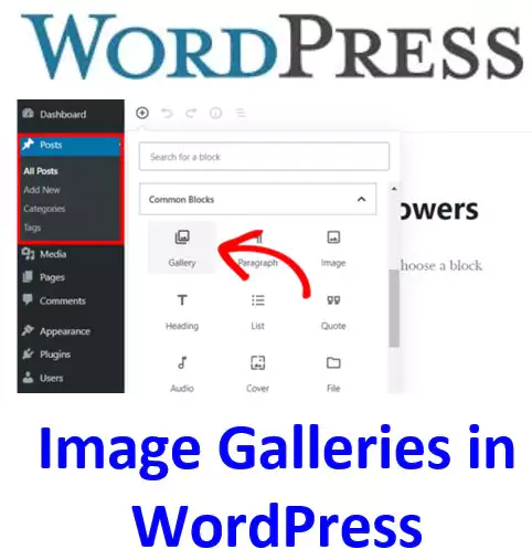 Creating Image Galleries in WordPress