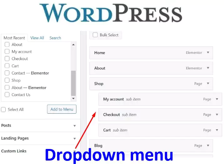 Creating Dropdown Menus in WordPress