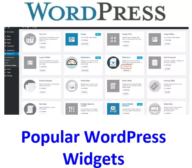 Popular WordPress Widgets for Beginners