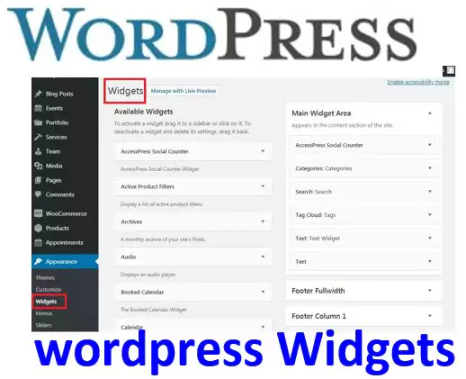 Customizing a WordPress widget's settings