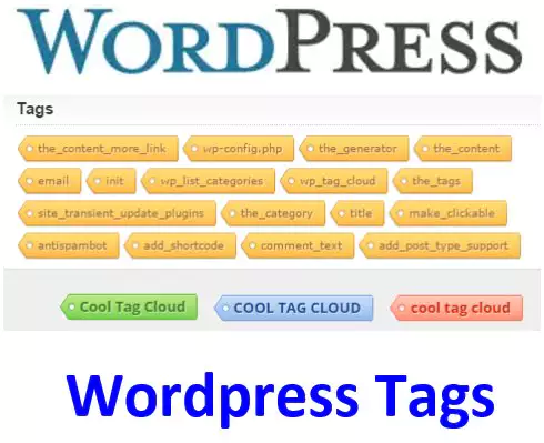 Creating and Managing Tags in WordPress: A Beginner's Guide