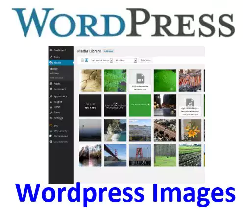 Understanding the WordPress Media Library