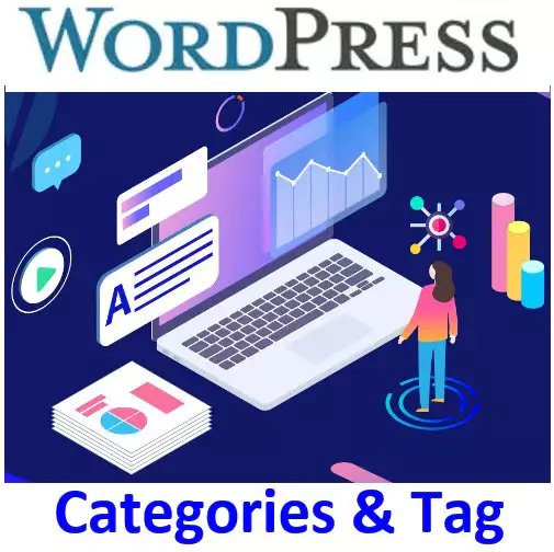 understanding-categories-and-tags-in-wordpress