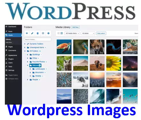 How to Upload Images and Videos to the WordPress Media Library